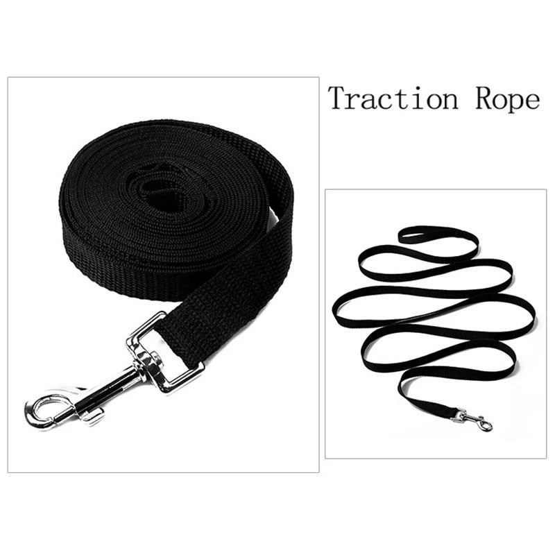 Durable Long-Lasting Nylon Pet Leash