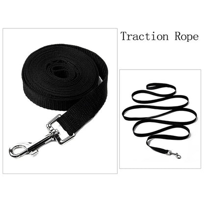 Durable Long-Lasting Nylon Pet Leash