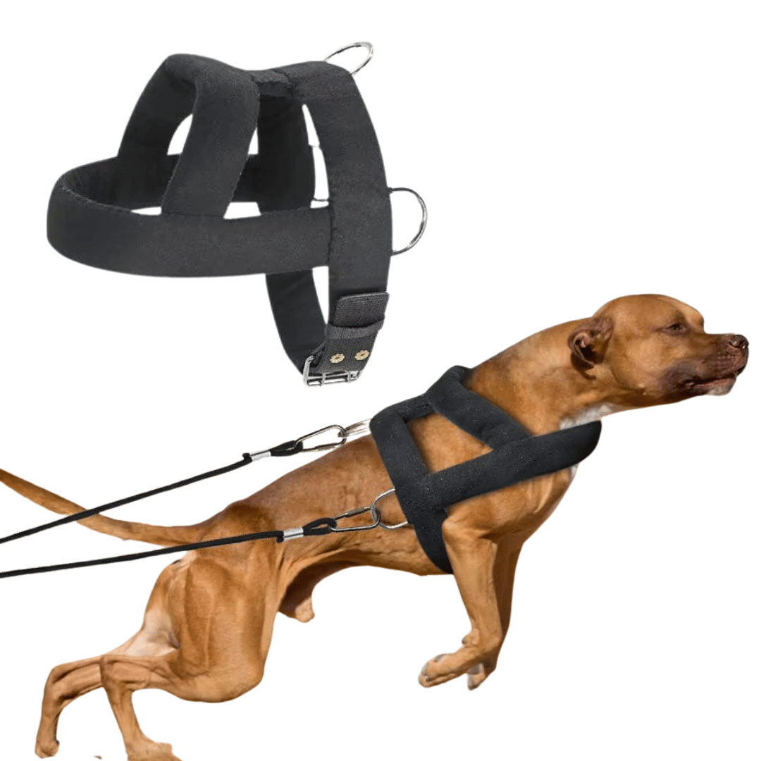 Tough Dog Pulling Harness with Padded Support