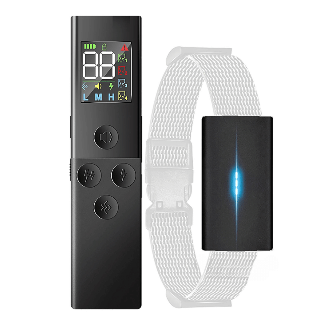 Effective 500m Pet Training Collar and Remote Controller