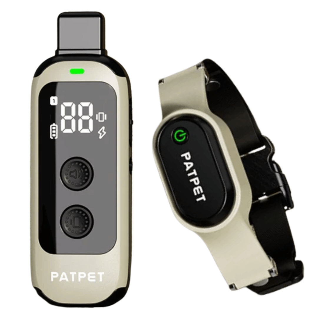 Waterproof Rechargeable Dog Trainer Collar with Remote - LifyPet