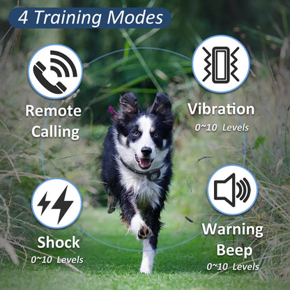 Effective Remote Dog Trainer with Voice, Vibe & Shock Alerts