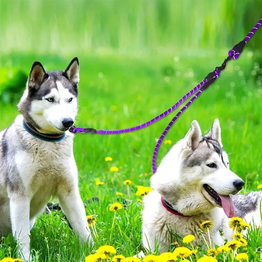 Extra Long Pet Leash Extender with Tangle Free Swivel Clip