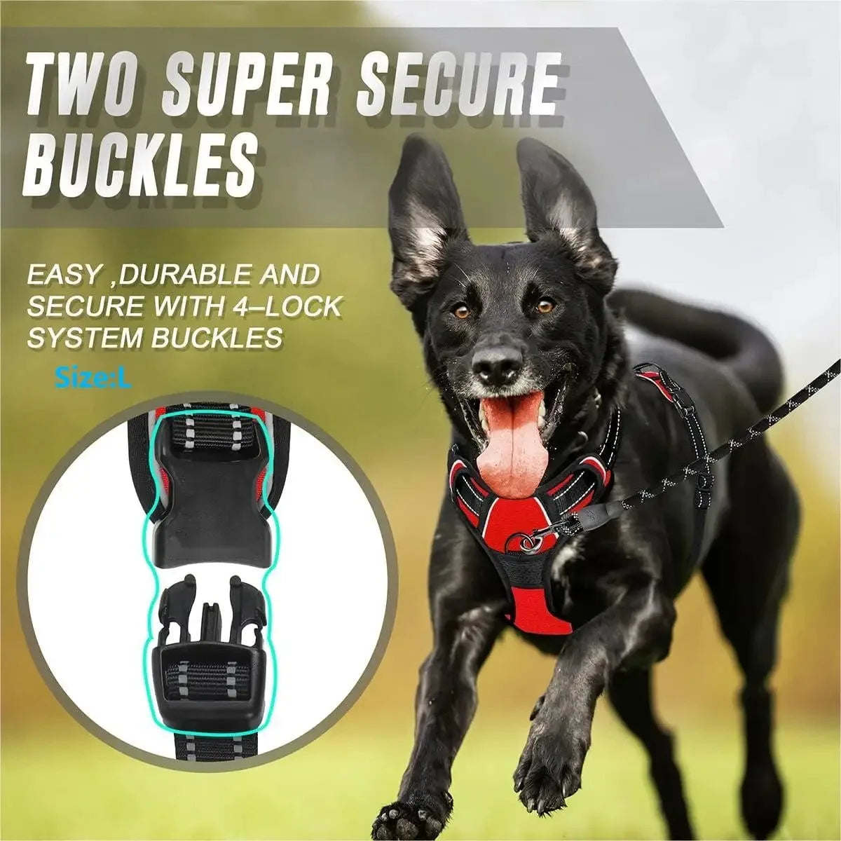 Puppy Walking Harness with Reflective Safety Straps
