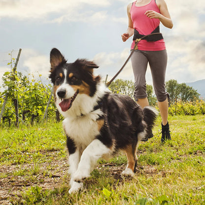 Easy Wear Running Dog Leash with Adjustable Strap