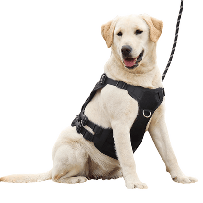 Durable Outdoor Dog Vest with Handle for Large Breeds