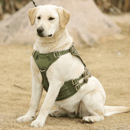 Durable Outdoor Dog Vest with Handle for Large Breeds