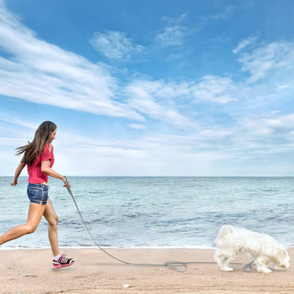 Strong Long Dog Leash with Padded Handle