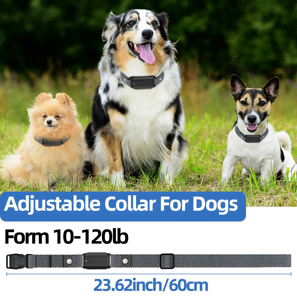 Waterproof Remote Dog Training Collar with Flashlight