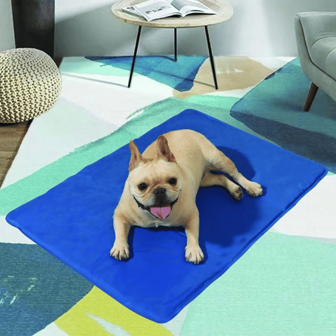 Cooling Pet Mat for Dogs | Waterproof Summer Pad