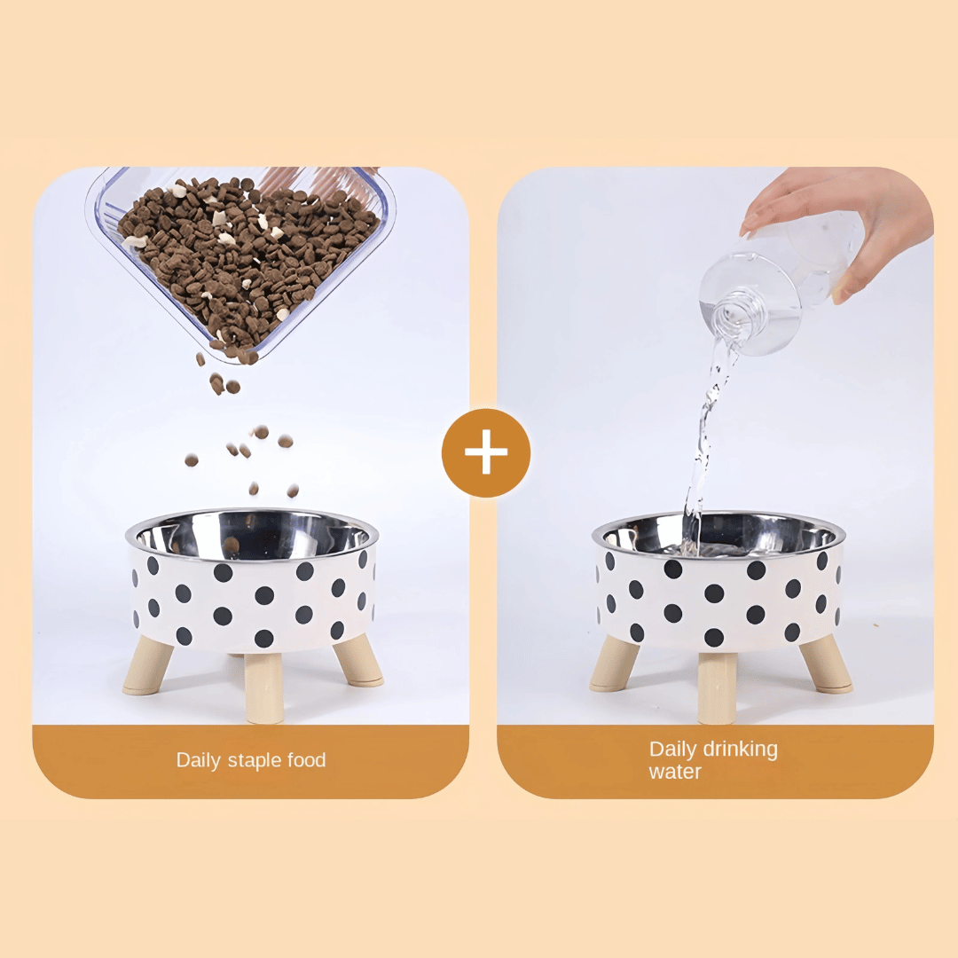 Easy Clean Elevated Dog Food Bowl with Non Slip Base