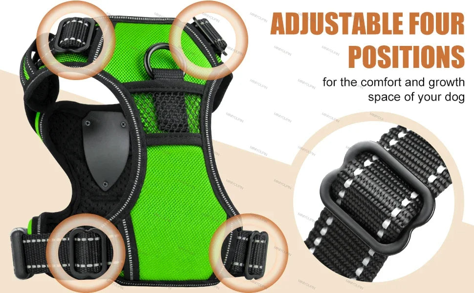 Visible LED Dog Vest for Nighttime Walking Safety