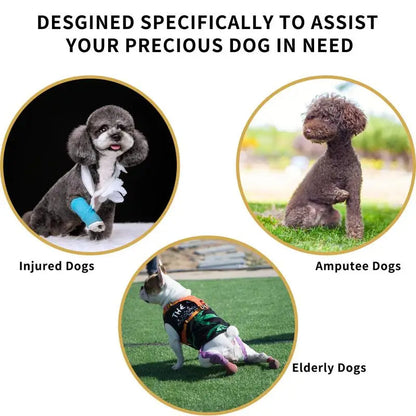 Comfortable Support Harness for Senior Dogs