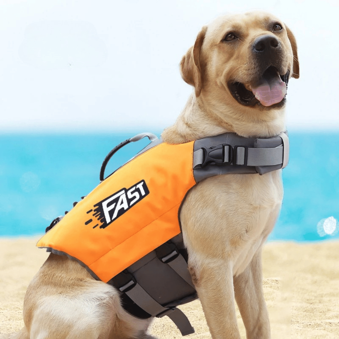 Pet Life Preserver Vest for Dogs Swimming