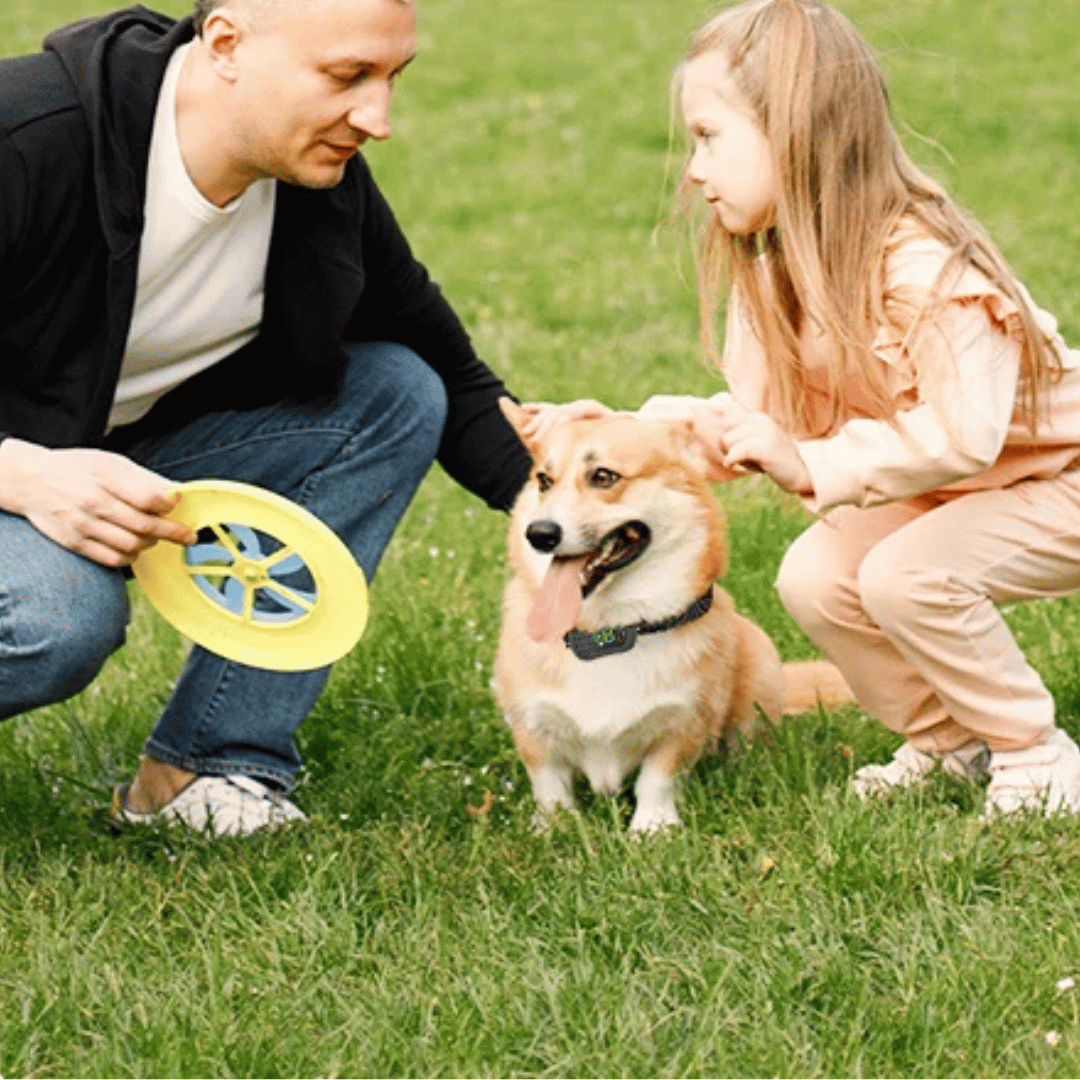 Effective Remote Dog Training Collar with Voice Commands