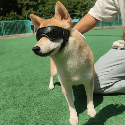 Pet Dog Shades for Small Breeds Protection