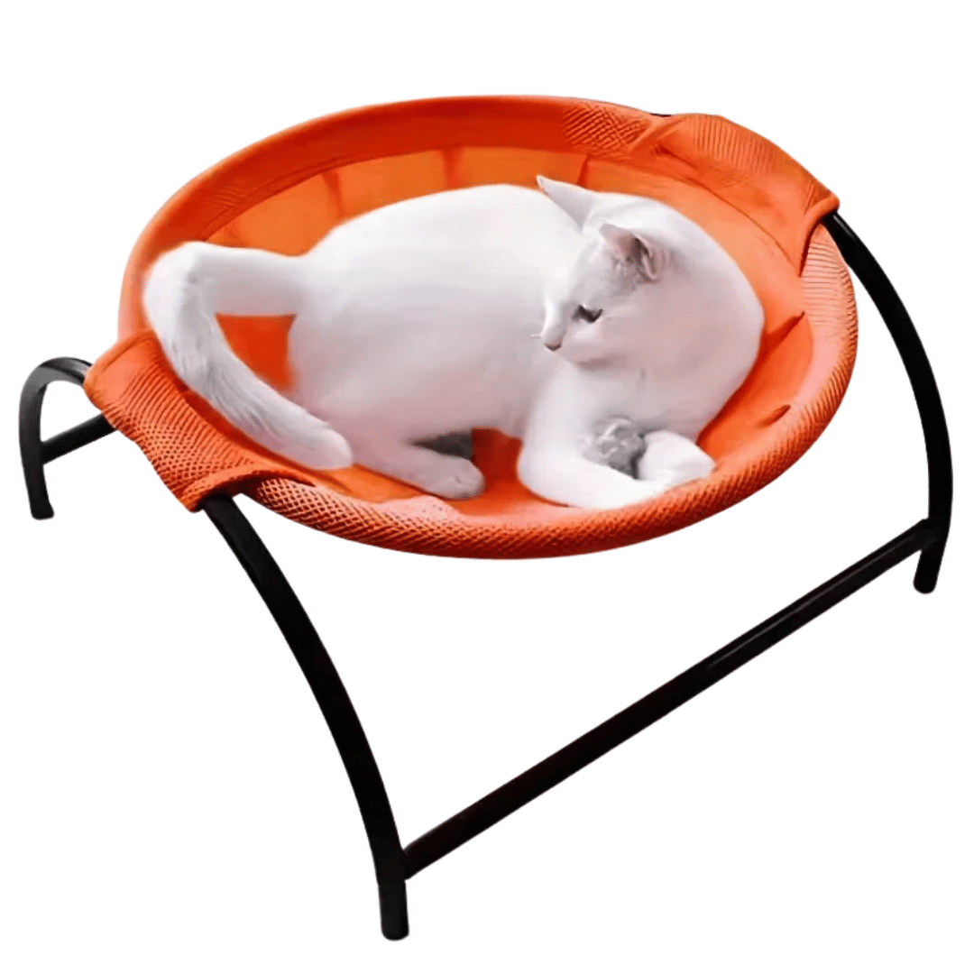 Sturdy Wooden Cat Hammock Bed with Solid Frame