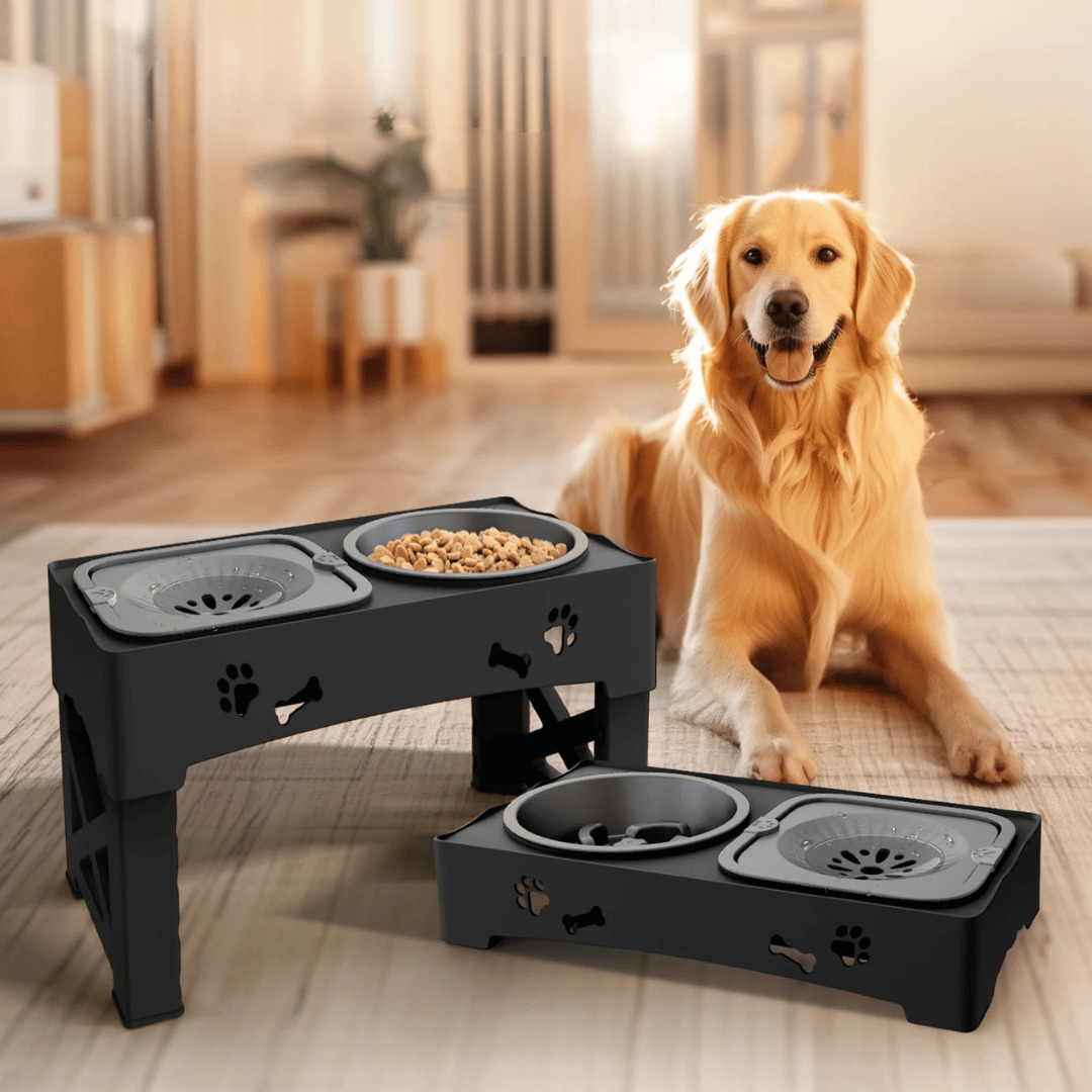 Easy Feed Elevated Dog Bowl Stand | Adjustable Pet Feeder