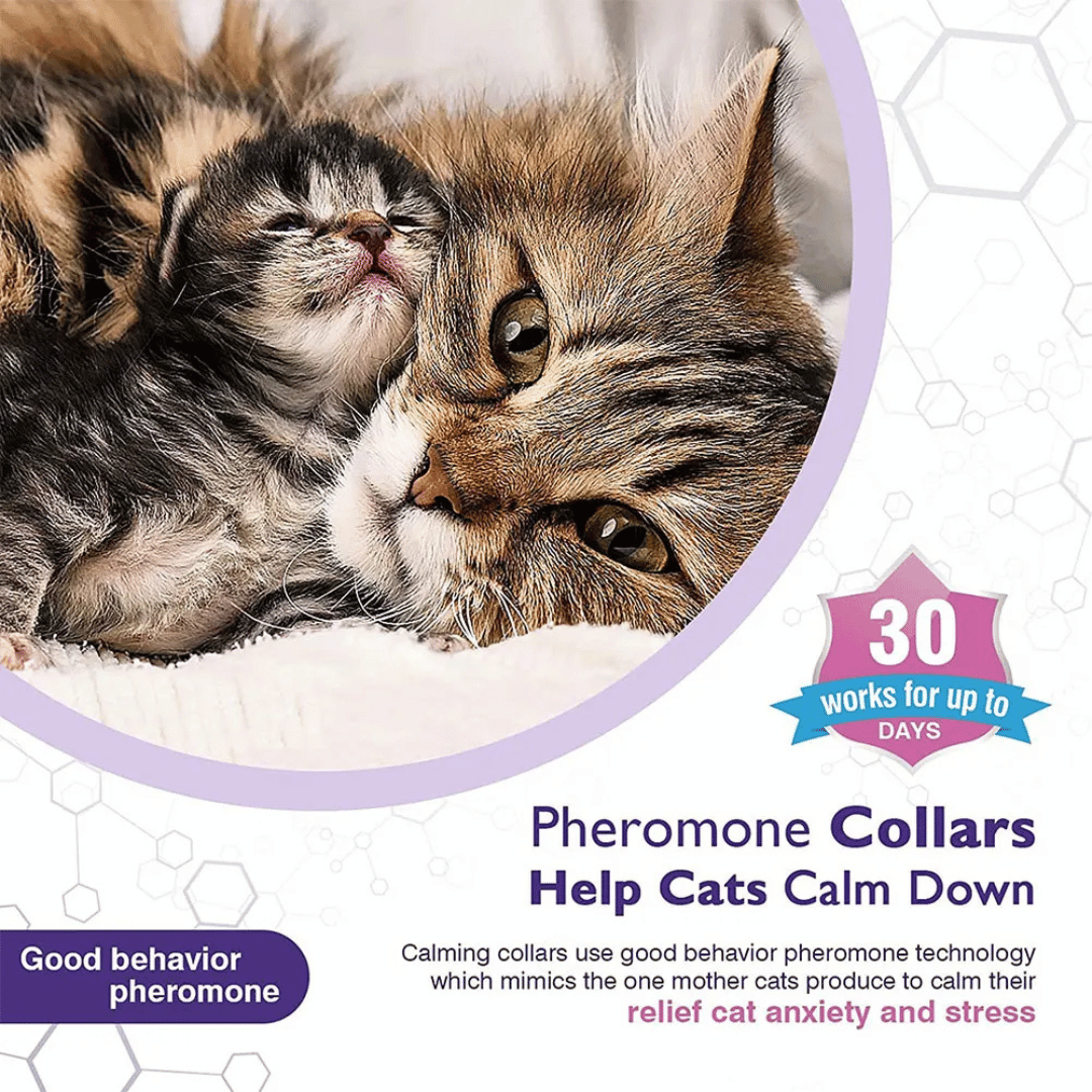 Natural Calming Collar for Cats with Soothing Pheromones