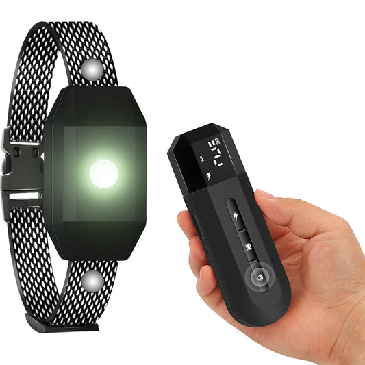 Long Range Wireless Dog Trainer Collar with Remote - LifyPet