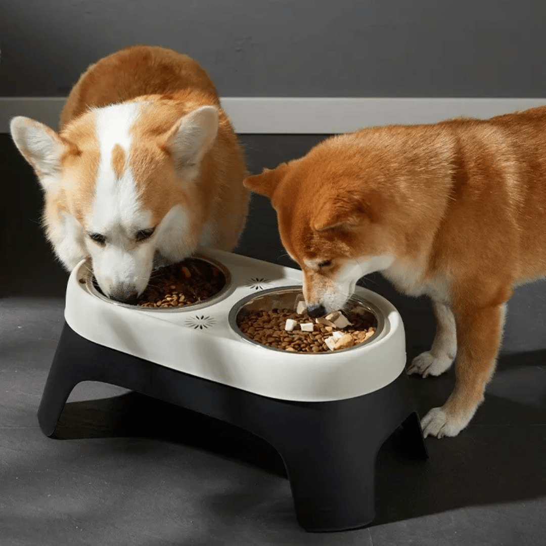 Elevated Pet Feeder with Durable Stainless Steel Bowls
