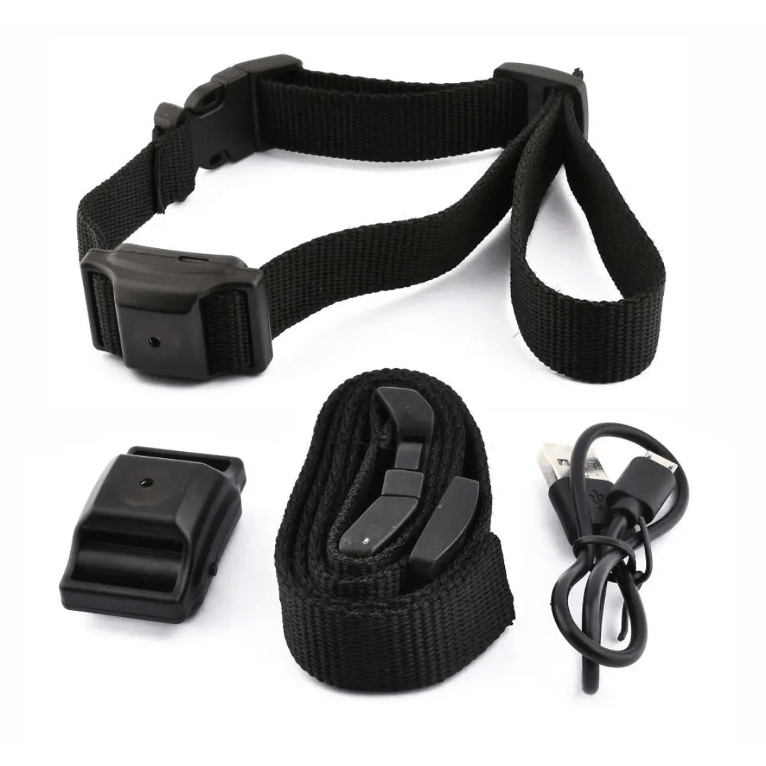 Effective Dog Bark Stop Training Collar for Small Pets