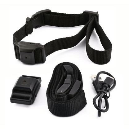 Effective Dog Bark Stop Training Collar for Small Pets