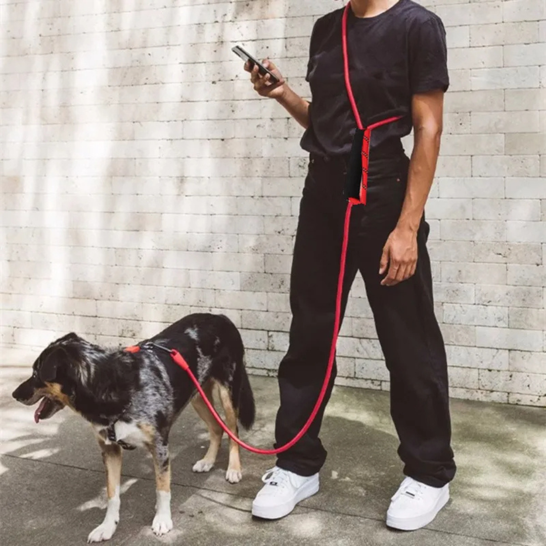 Durable Reflective Dog Leash for Big Dogs Running Walking