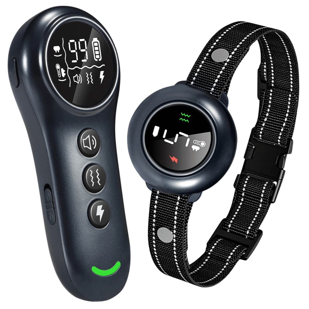 Rechargeable 2-in-1 Dog Training Collar & Anti Bark Device - LifyPet