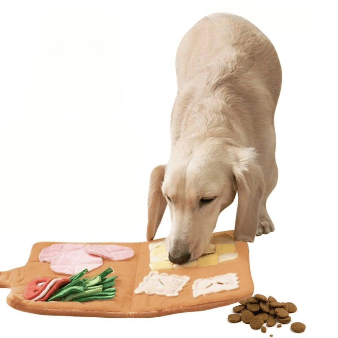 Interactive Dog Feeding Mat for Treat Dispensing Fun