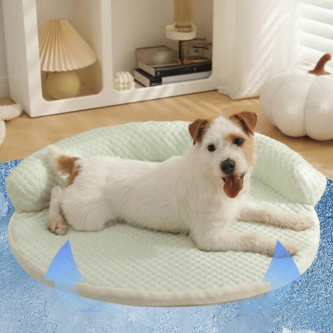 Cooling Pet Bed Mat for Dogs and Cats