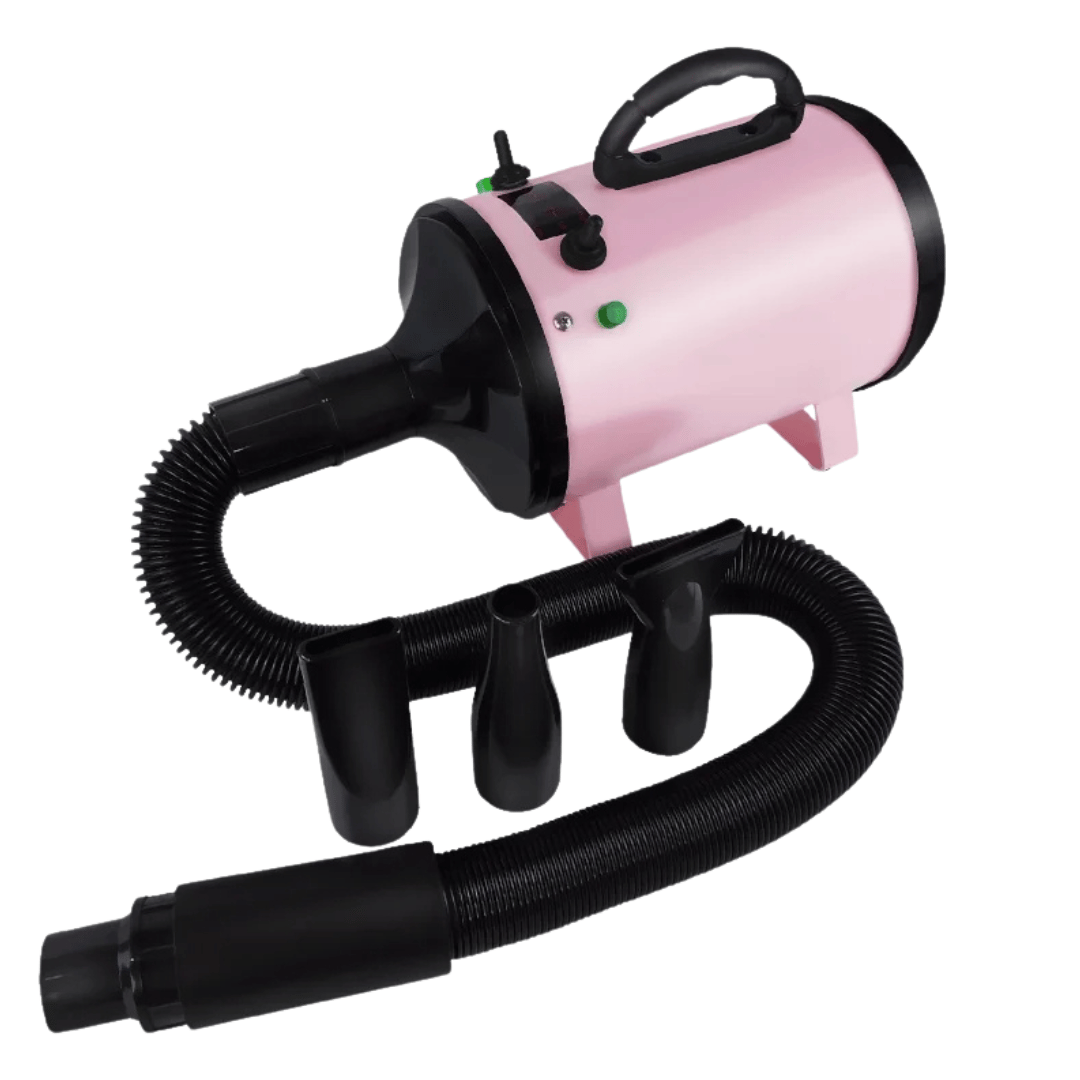 Quiet Pet Dryer with Adjustable Heat & Interchangeable Tips