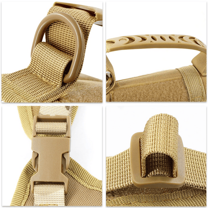 Durable Outdoor Cat Vest & Leash