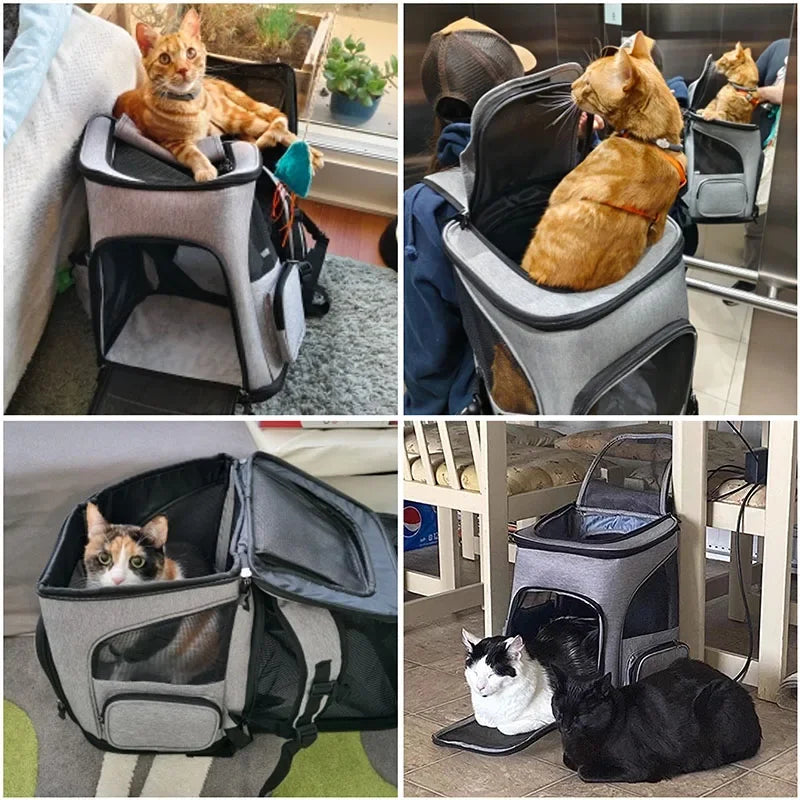 Spacious Ventilated Pet Carrier Hiking Backpack