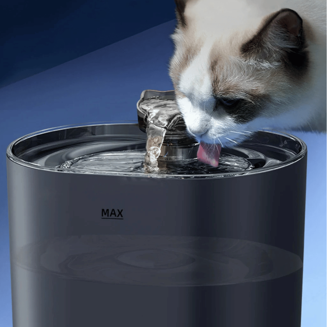 Clean Pet Water Dispenser for Cats