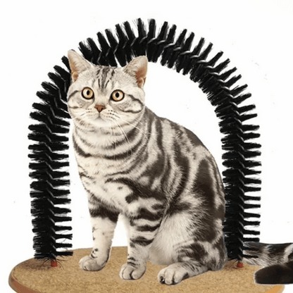 Pet Grooming Brush Arch for Cats to Scratch and Play