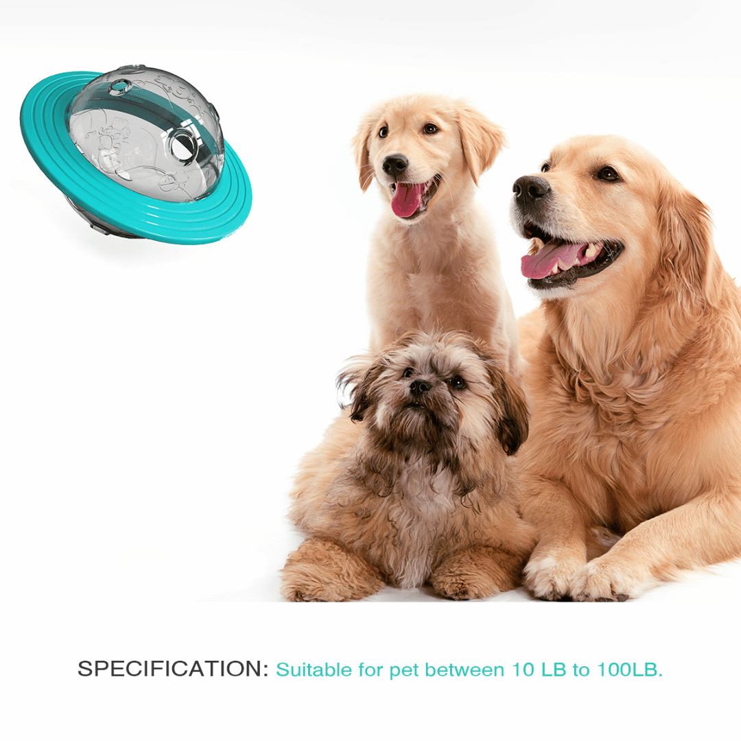 Fun Puzzle Dog Toy for Healthy Slow Eating