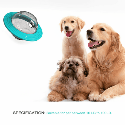 Fun Puzzle Dog Toy for Healthy Slow Eating
