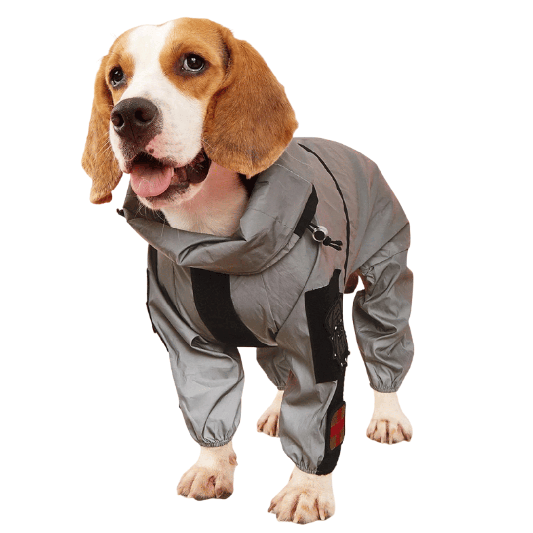 Waterproof Dog Rain Jacket with Adjustable Hood