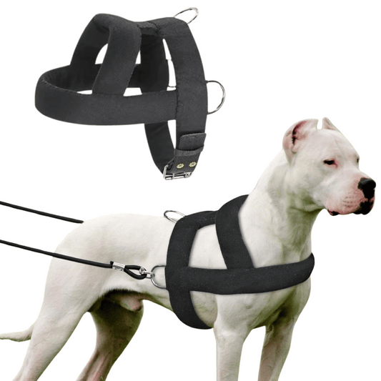Tough Dog Pulling Harness with Padded Support - LifyPet