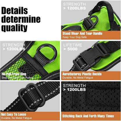 Visible LED Dog Vest for Nighttime Walking Safety