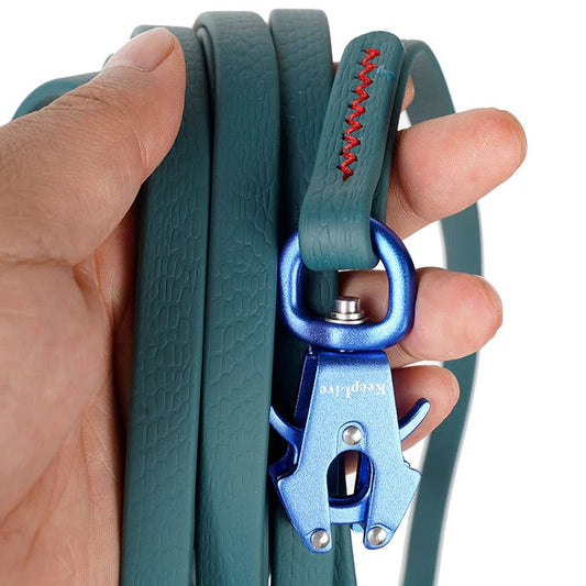 Durable Long Dog Leash with Quick Release Clip - LifyPet