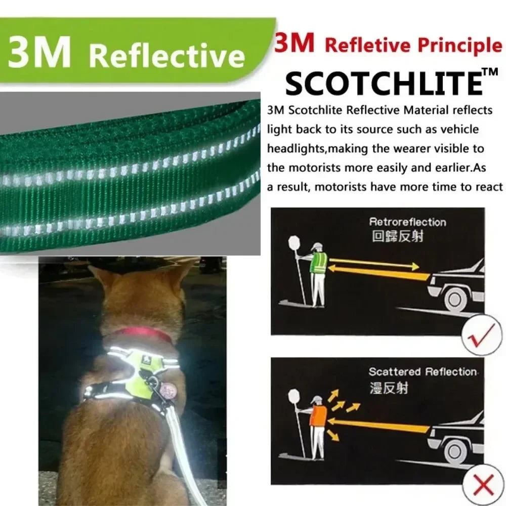 Puppy Walking Harness with Reflective Safety Straps