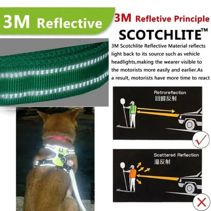 Puppy Walking Harness with Reflective Safety Straps