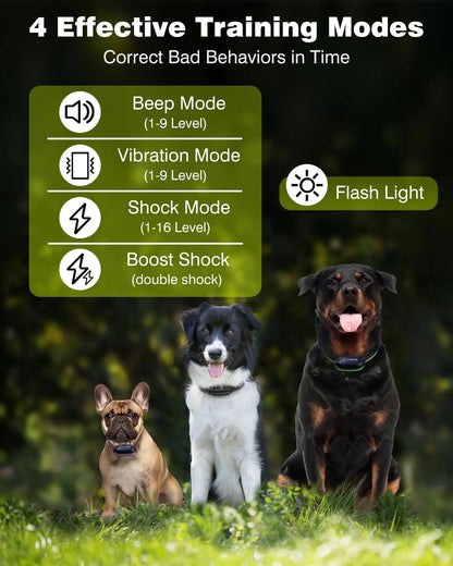 Effective Dog Training Collar for Large Pets