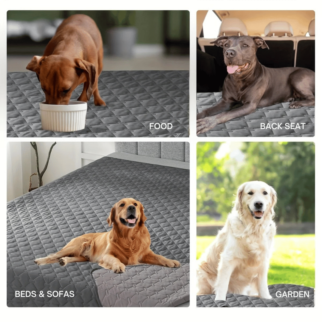 Waterproof Pet Blanket Sofa Cover for Dogs