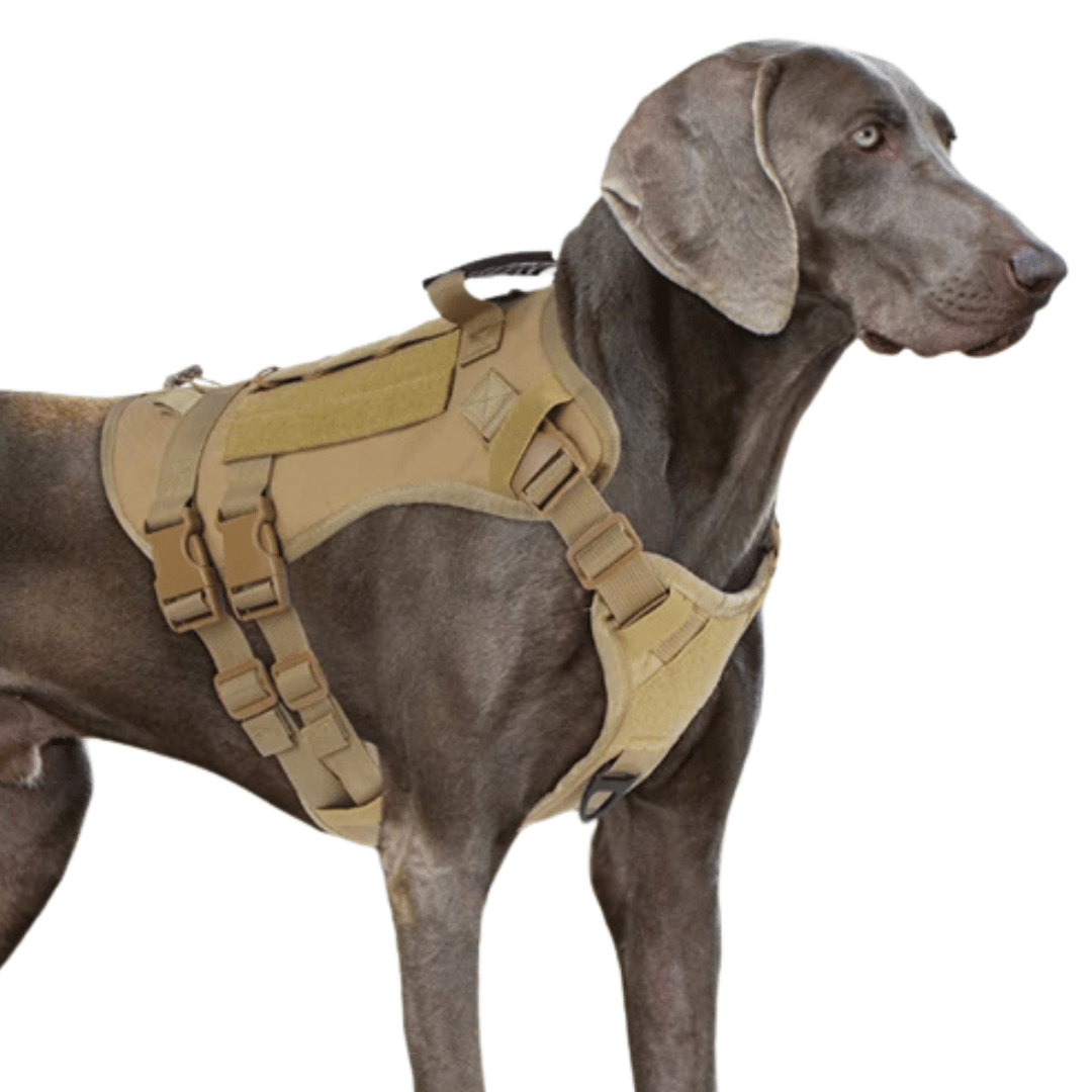 Durable Heavy-Duty Dog Vest with Handle for Large Breeds