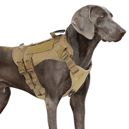 Durable Heavy-Duty Dog Vest with Handle for Large Breeds
