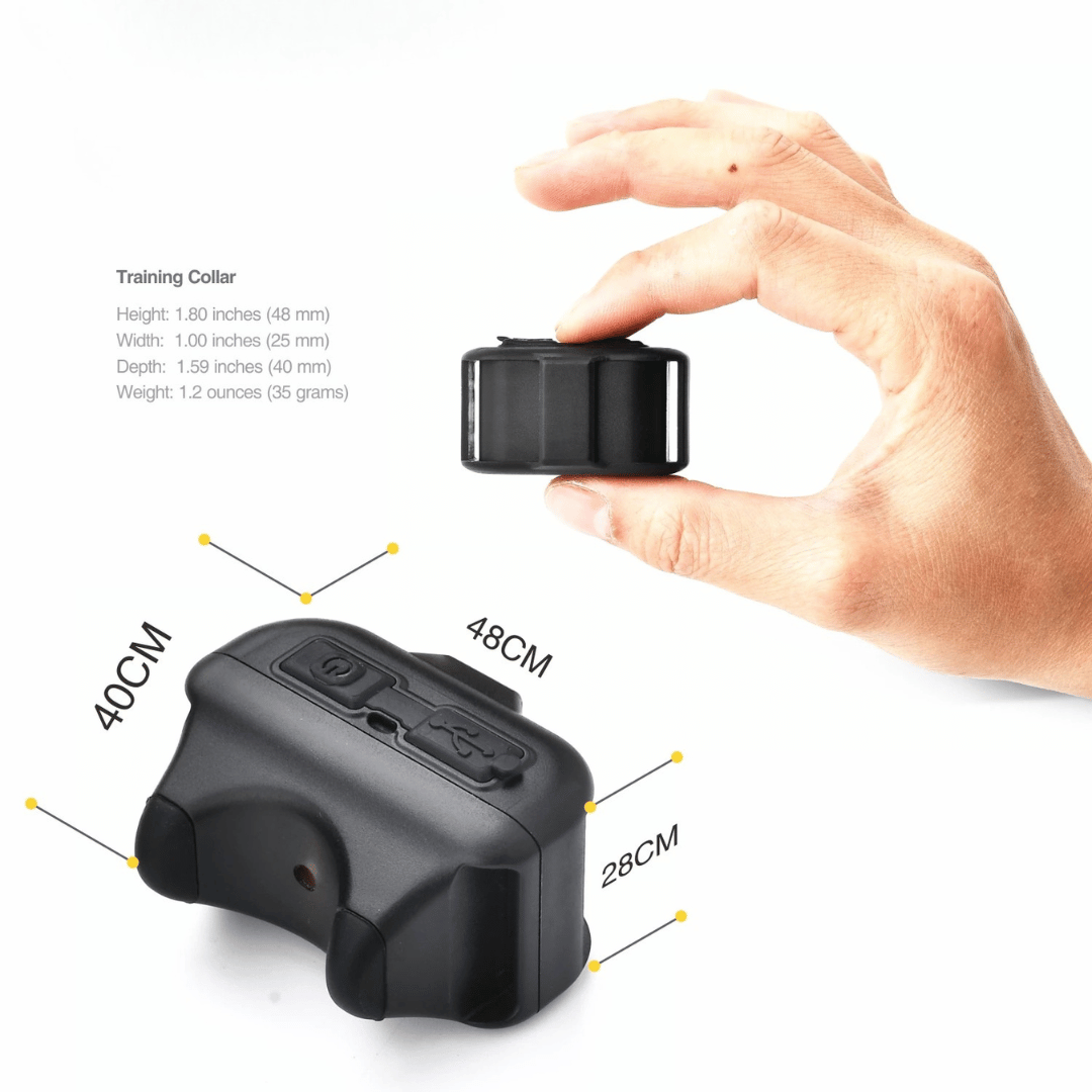 Compact Pet Training Collar with Long Range Remote