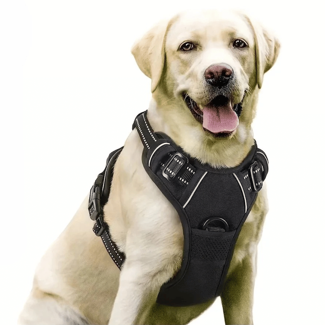Puppy Walking Harness with Reflective Safety Straps - LifyPet